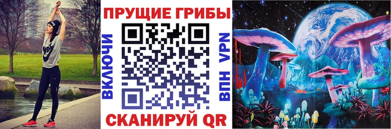 что такое   Нестеров  Псилоцибиновые грибы Psilocybine cubensis 